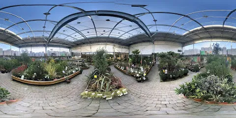 Image de Bricomarché Auray