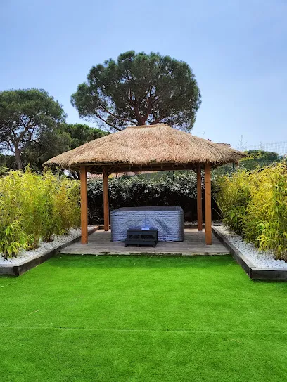 Image de Jungle Spirit