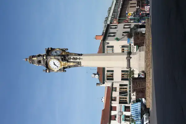 Abri Piscine Rétractable Spécialiste abri de piscine Tassin-la-Demi-Lune